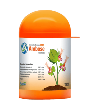 AMBOSE