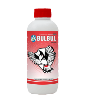 BULBUL