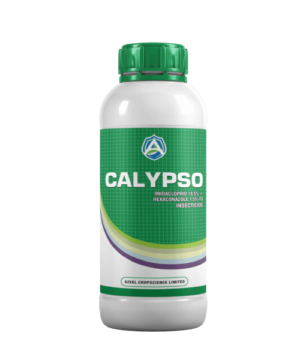 CALYPSO