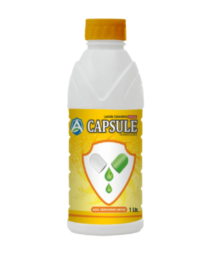 CAPSULE