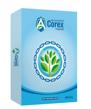 COREX