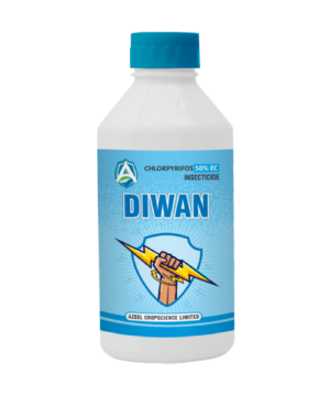 DIWAN