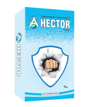 HECTOR