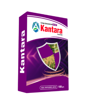 Kantara