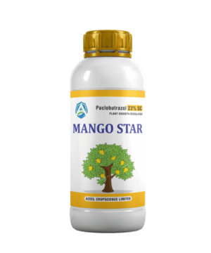 MANGO STAR