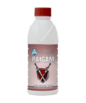 PAIGAM