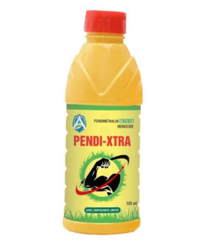 PENDI-XTRA