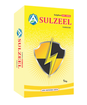 SULZEEL