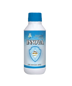 INNOVA