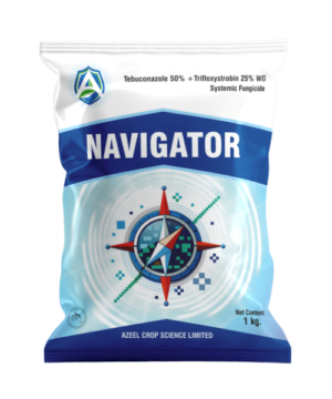 Navigator